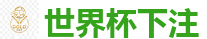 2026世界杯 (FIFA WorldCUP)中国外围指定网站
